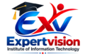 expertvision institute logo removebg preview